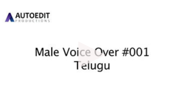 MVO 001 (Telugu)
