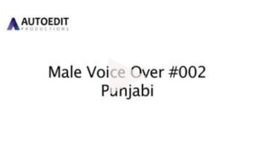 MVO 002 (Punjabi)