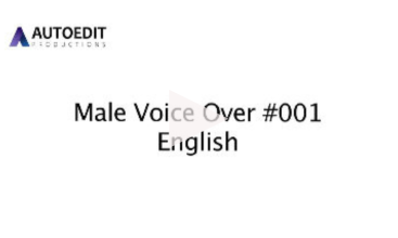 MVO 001 (English)